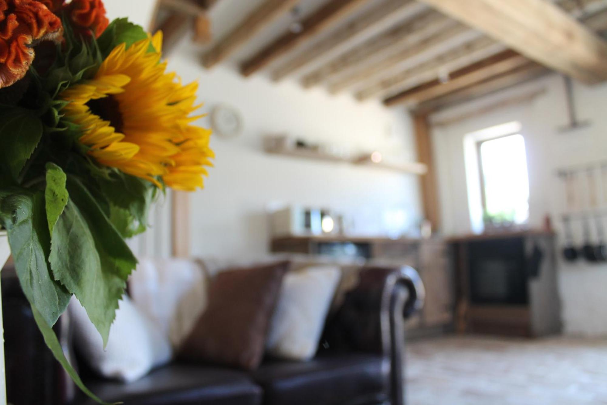 The Dovecote - Unique Self-Contained 1Bed Renovated Barn Villa Сафрън Уолдън Екстериор снимка